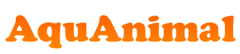 AquAnimal
